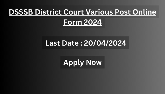 DSSSB District Court Various Post Online Form 2024